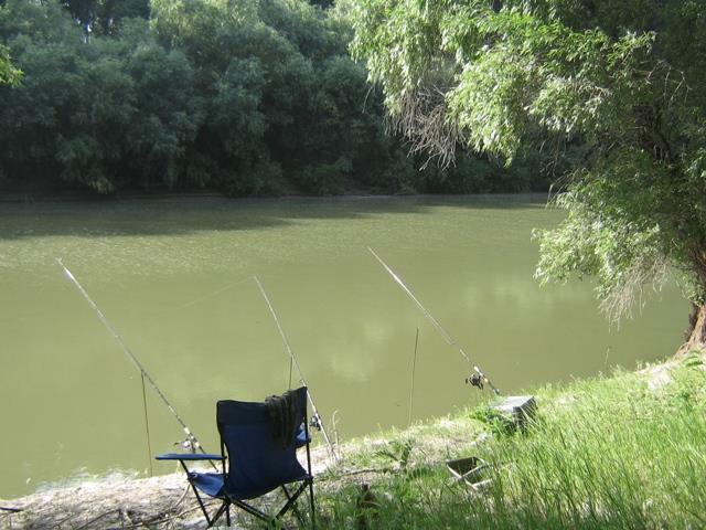 Prin Delta Dunarii - Picture 011.jpg